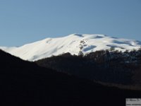 2026-03-14 Puzzillo e Morretano 010